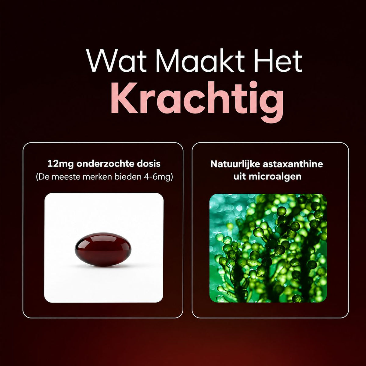 Eveom Astaxanthine